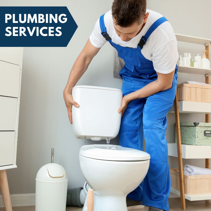 Plumbing Company in Cottage Hills, IL